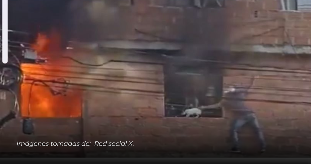Valiente ciudadano arriesga su vida para salvar a cinco gatos de las llamas en Medellín.