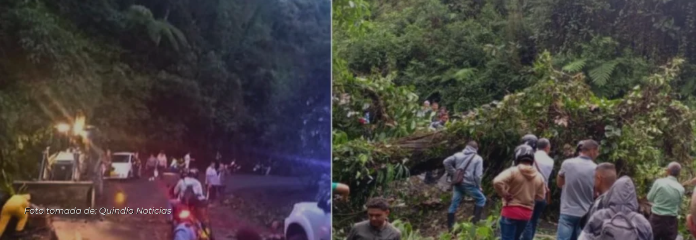 Habilitada la vía a Salento – Armenia tras caída de árbol en carretera