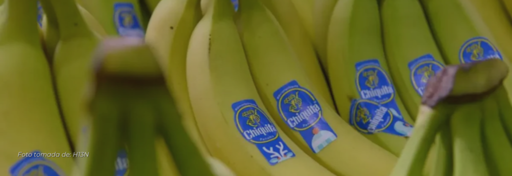 Más de dos mil víctimas de Chiquita Brands recibirán una indemnización de 53 mil millones de pesos