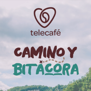 Descubre el encanto del Eje Cafetero con Camilo y Bitácora