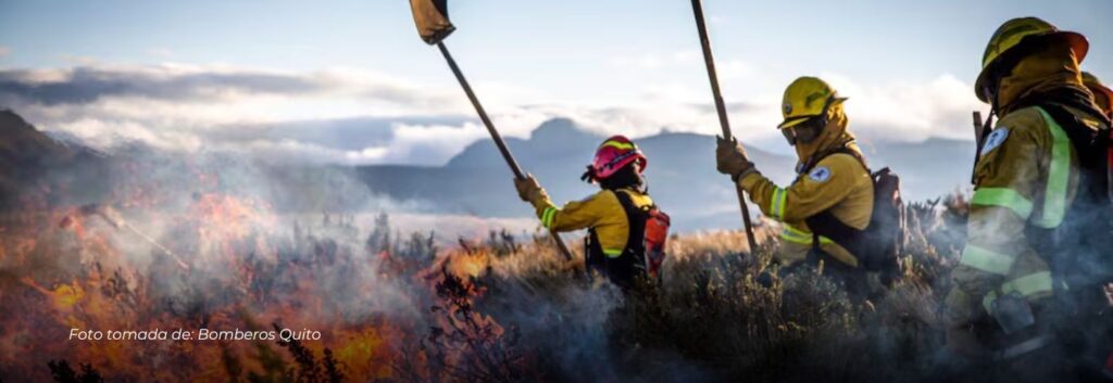 Incendios forestales amenazan a Quito: la capital de Ecuador en estado de emergencia