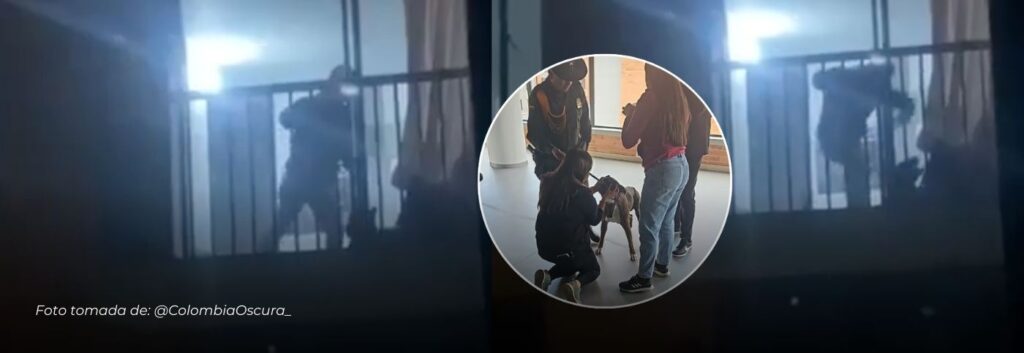 Indignación en Cajicá: Vecinos grabaron el momento donde un hombre que golpeaba salvajemente a su perro
