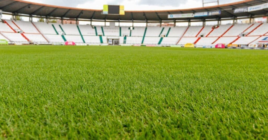 Instalación de luminaria en Estadio Palogrande está en contrarreloj para la Sudamericana