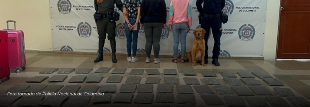 Thor, un canino, ayuda a la Policía Nacional a incautar cargamento de marihuana