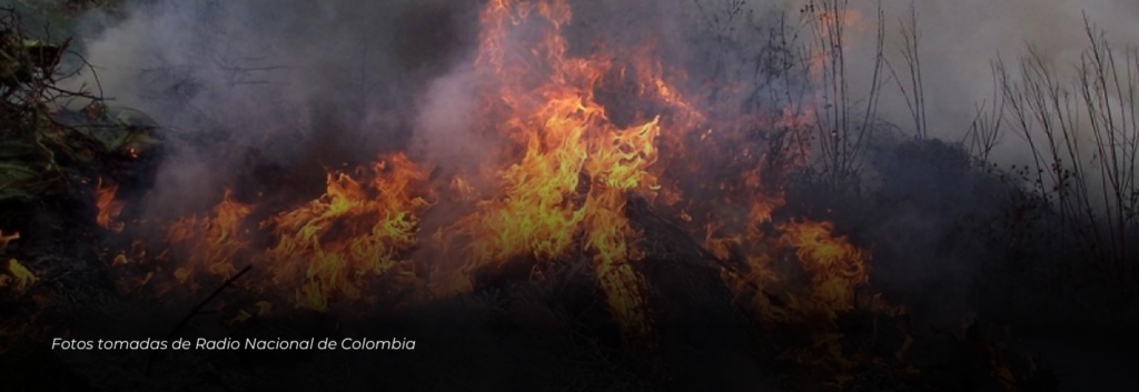 Tres municipios de Risaralda en alerta ante posibles incendios forestales