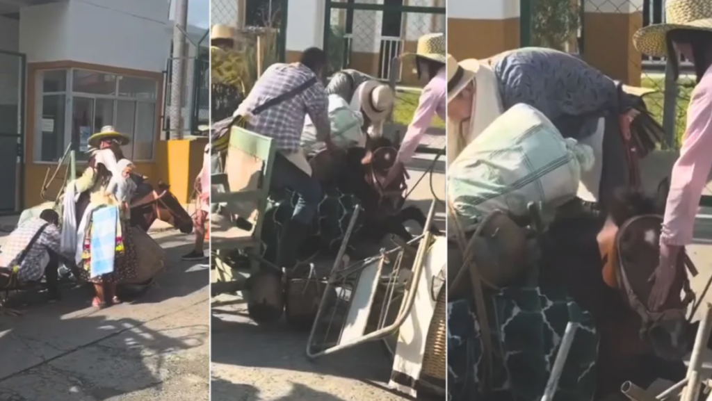 Alcaldía de Salento se pronuncia sobre presunto maltrato a un equino