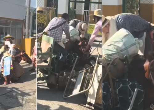 Alcaldía de Salento se pronuncia sobre presunto maltrato a un equino
