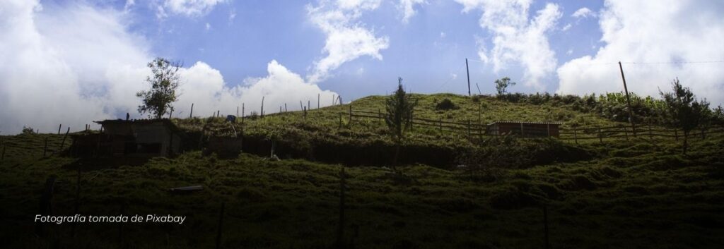 Más de $938 millones fueron entregados a productores rurales de Pereira