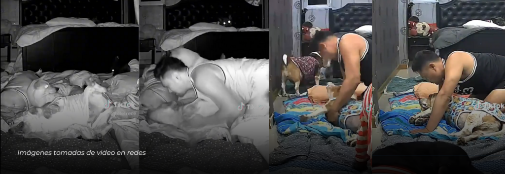 Hombre tailandés salva a su perro con epilepsia nocturna usando RCP