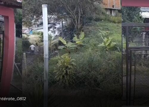 Presunto agresor de menor de edad fue linchado por la comunidad y posteriormente capturado por la policía