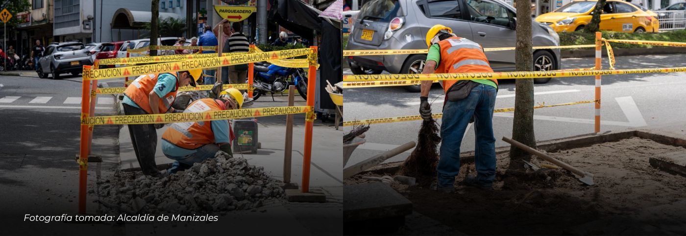 Se renuevan los bulevares de la avenida Santander en Manizales, con una inversión de $500 millones
