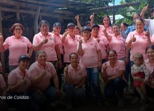 Mujeres cafeteras lideran proyectos de viveros sostenibles en Caldas