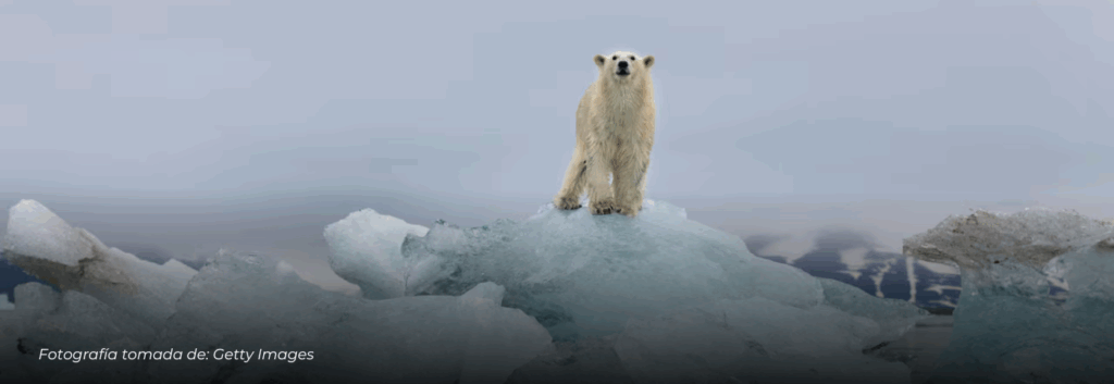 El deshielo acelera una nueva amenaza: volcanes inactivos podrían reactivarse y alterar el equilibrio del planeta