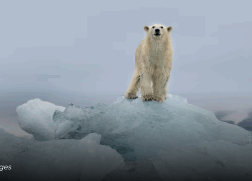 El deshielo acelera una nueva amenaza: volcanes inactivos podrían reactivarse y alterar el equilibrio del planeta