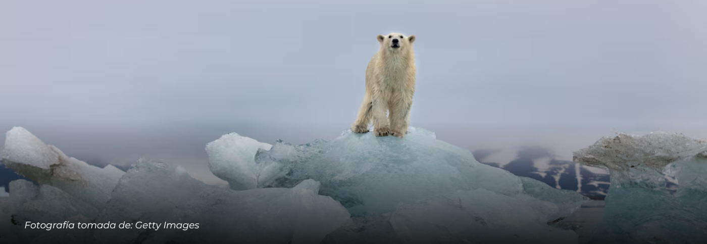 El deshielo acelera una nueva amenaza: volcanes inactivos podrían reactivarse y alterar el equilibrio del planeta