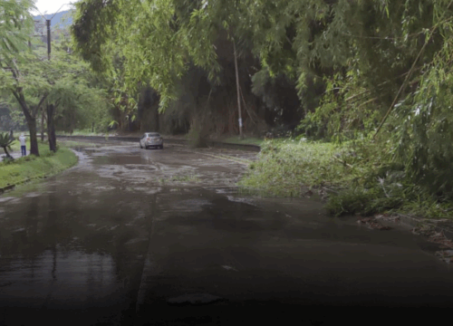 Fuerte aguacero con granizada sorprendió a Pereira y su área metropolitana, pero no dejó daños graves según el reporte de Bomberos