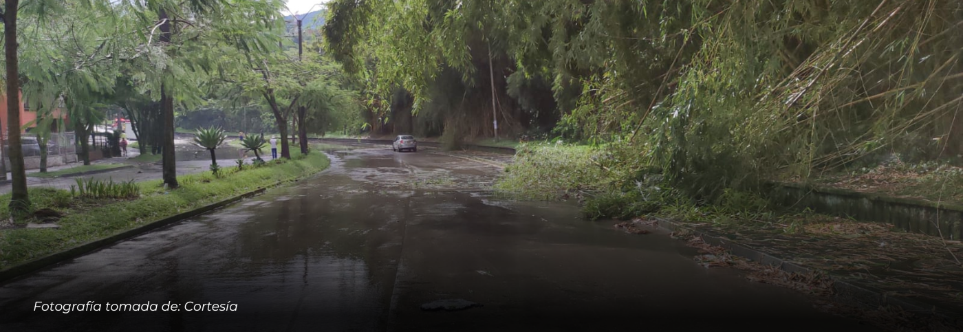 Fuerte aguacero con granizada sorprendió a Pereira y su área metropolitana, pero no dejó daños graves según el reporte de Bomberos