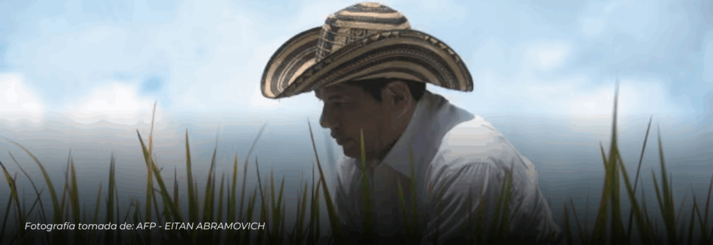 Gremio arrocero anuncia paro nacional indefinido desde el 14 de julio por desplome en los precios y crisis del sector