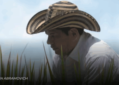 Gremio arrocero anuncia paro nacional indefinido desde el 14 de julio por desplome en los precios y crisis del sector