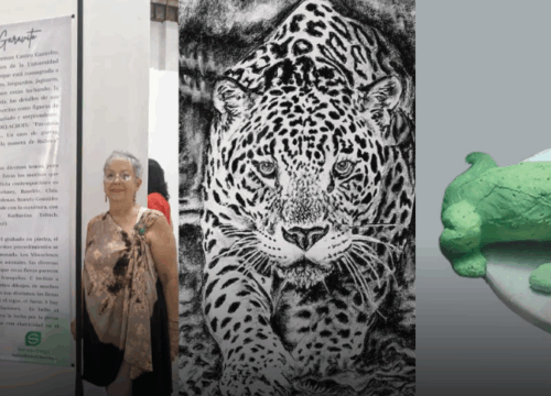 El MAQUI abre sus puertas a «Fieras»: una exposición que explora la nobleza del reino animal