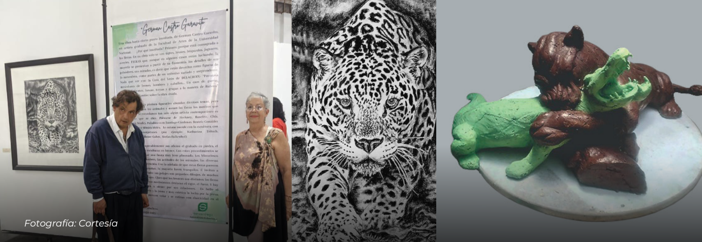 El MAQUI abre sus puertas a «Fieras»: una exposición que explora la nobleza del reino animal