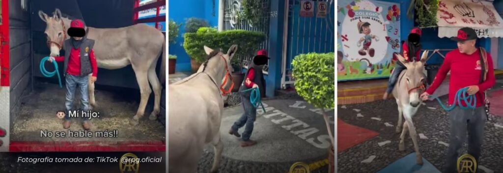 Niño lleva un burro a la escuela como mascota, enternece a todo México y se vuelve viral en Tik Tok
