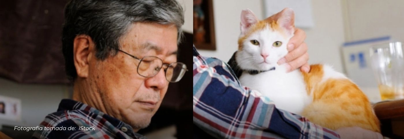 Por amor a su gata, anciano ofrece su fortuna a quien la ciude tras su muerte