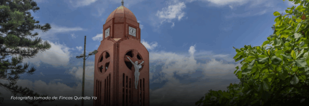 Quimbaya, Quindío, se consolida como destino clave para el avistamiento de aves en Colombia