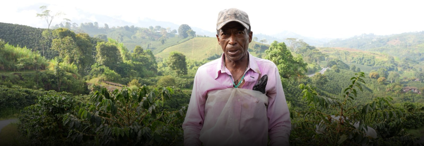 Caldas avanza en la Cosecha Cafetera 2025 con amplia coordinación y seguridad