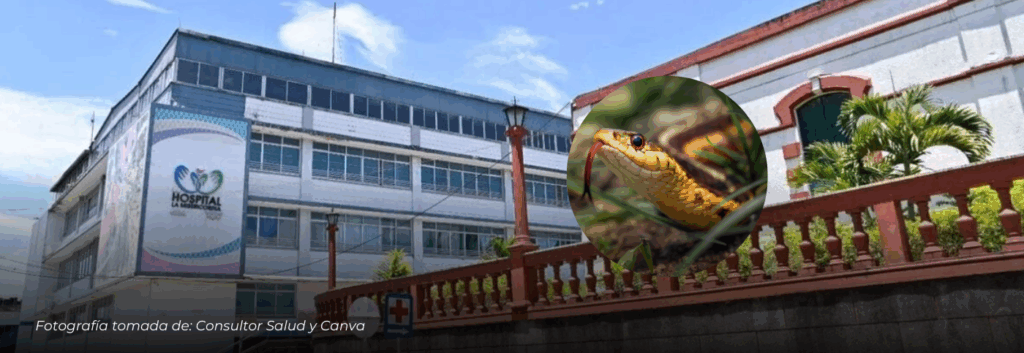 Caficultor de Calarcá sobrevive a mordedura de serpiente gracias a atención médica oportuna