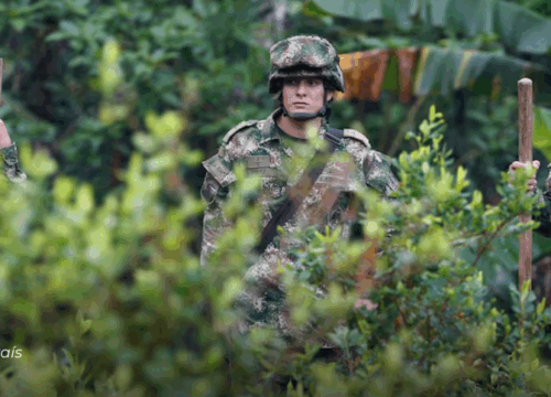 Secuestro de 34 militares en Guaviare desata nueva crisis de seguridad y recrudece la ofensiva contra disidencias de las FARC