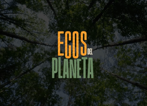 Ecos del Planeta, la apuesta de Telecafé por la conciencia ambiental
