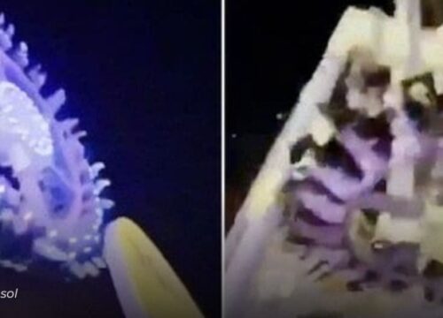 Arabia Saudita: Atracción mecánica colapsa y deja 23 heridos en parque temático