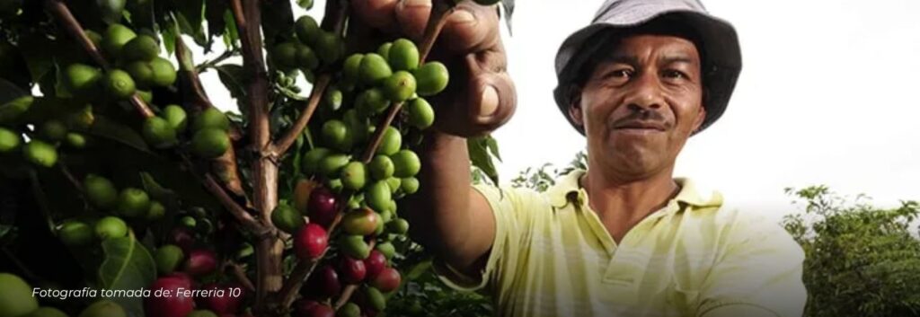 Risaralda activa el Plan Unidos por la Cosecha para blindar la recolección cafetera 2025