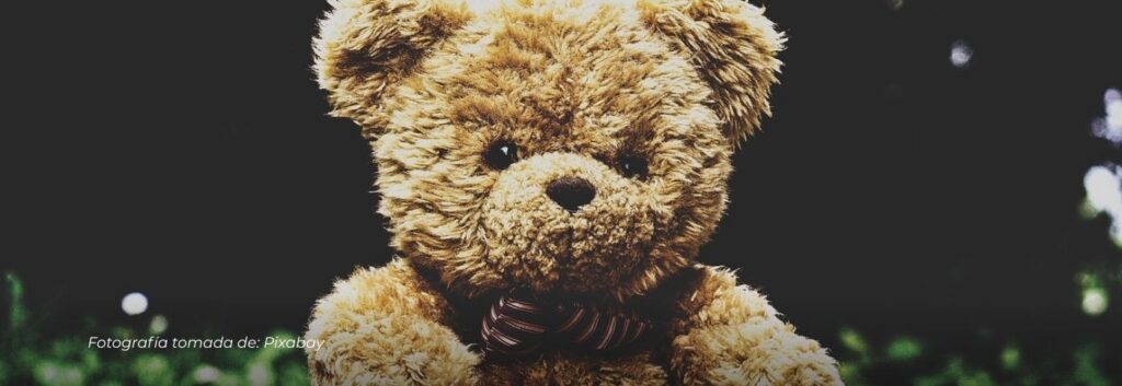 Descubren en Pereira explosivos ocultos dentro de peluches; dos mujeres fueron capturadas