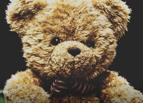 Descubren en Pereira explosivos ocultos dentro de peluches; dos mujeres fueron capturadas