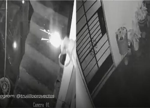 Perrita apaga dinamita que lanzó extorsionador a vivienda de un periodista en Perú
