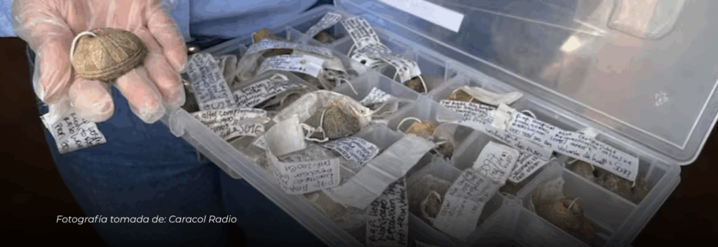 Descubren más de 14.700 vestigios arqueológicos en el terreno del nuevo Hospital Regional de Alta Complejidad