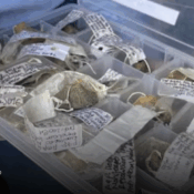 Objetos arqueologicos