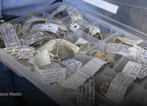 Descubren más de 14.700 vestigios arqueológicos en el terreno del nuevo Hospital Regional de Alta Complejidad