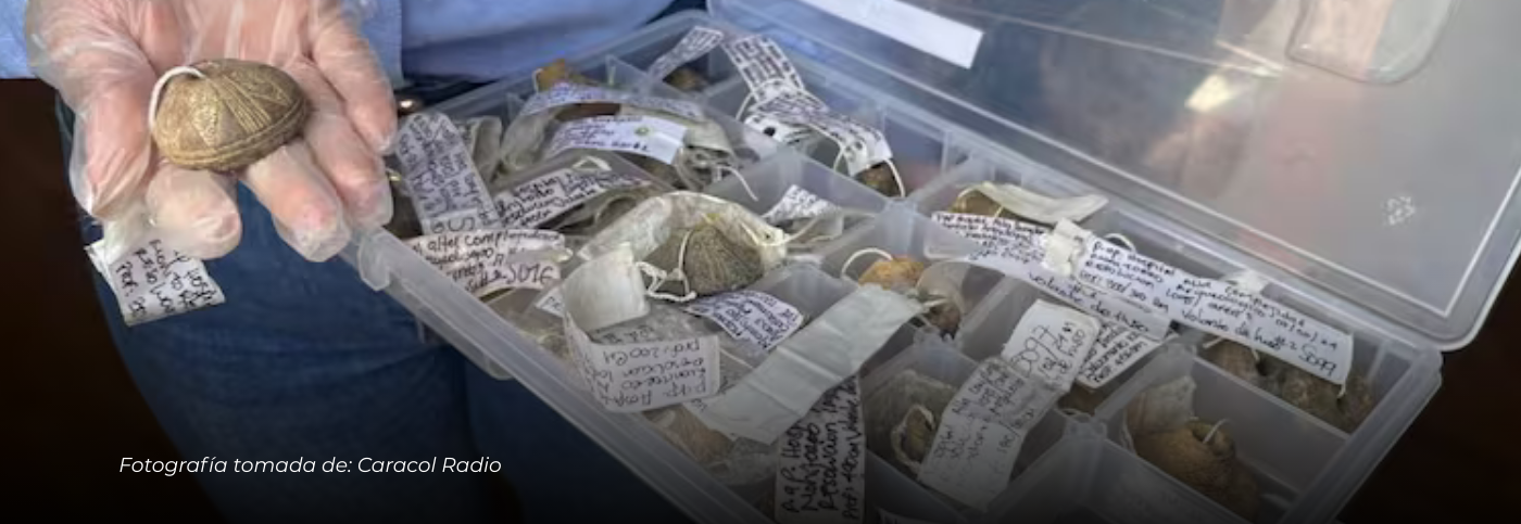 Descubren más de 14.700 vestigios arqueológicos en el terreno del nuevo Hospital Regional de Alta Complejidad