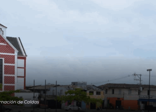 Agente de tránsito en Palestina, Caldas fue agredida por un hombre ajeno a un procedimiento vial