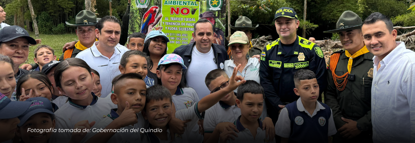 Gobernación del Quindío sembró 120 palmas de cera en el Valle de Cocora para conmemorar los 183 años de Salento