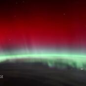 Boreal en las imagenes