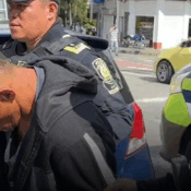 Alias “La Araña” fue capturado en flagrancia y enviado a la cárcel en Pereira