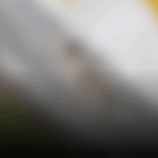 Investigan posible caso de maltrato animal en una vereda de Manizales