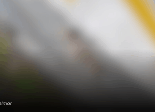 Investigan posible caso de maltrato animal en una vereda de Manizales