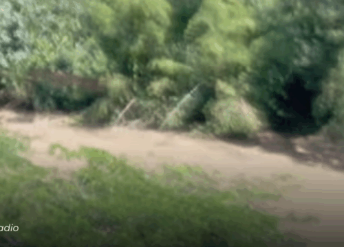 Vehículo cayó 200 metros en el sector de Boquerón: Bomberos de Risaralda apoyaron el rescate del conductor