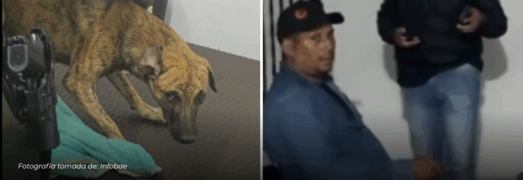 Presunto agresor de perro que causó indignación nacional quedó en libertad tras entregarse a las autoridades en Antioquia