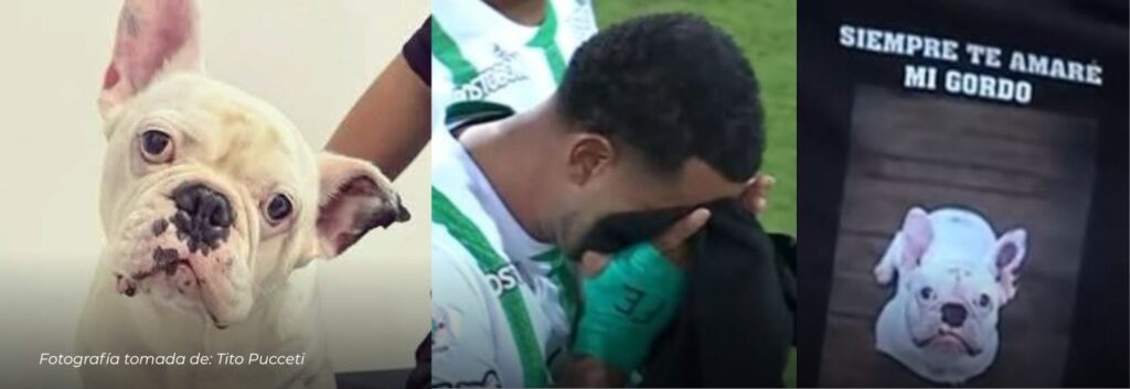 “Siempre te amaré, mi gordo” Entre lágrimas, Edwin Cardona dedicó su gol a Chewin su perro fallecido
